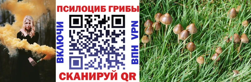 Галлюциногенные грибы Cubensis где купить наркоту Красный Сулин